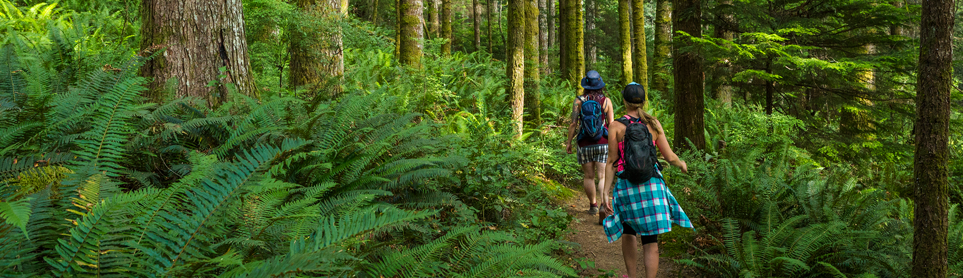Two women on a hike in the forest